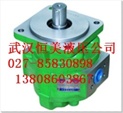 齒輪油泵CBZb3160，CBGJ3166