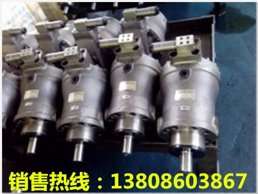 新聞：液壓泵LY-A7V80LV2.0LSF00市場(chǎng)價(jià)格
